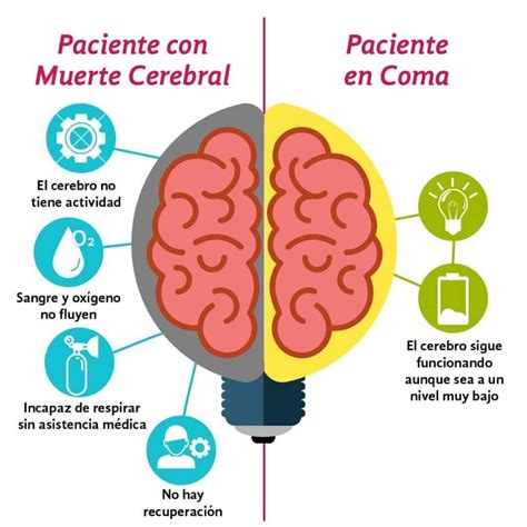 causas de la muerte cerebral